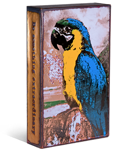 218 'Parrot' "Be something extraordinary and others will imitate." -Albert Schweitzer