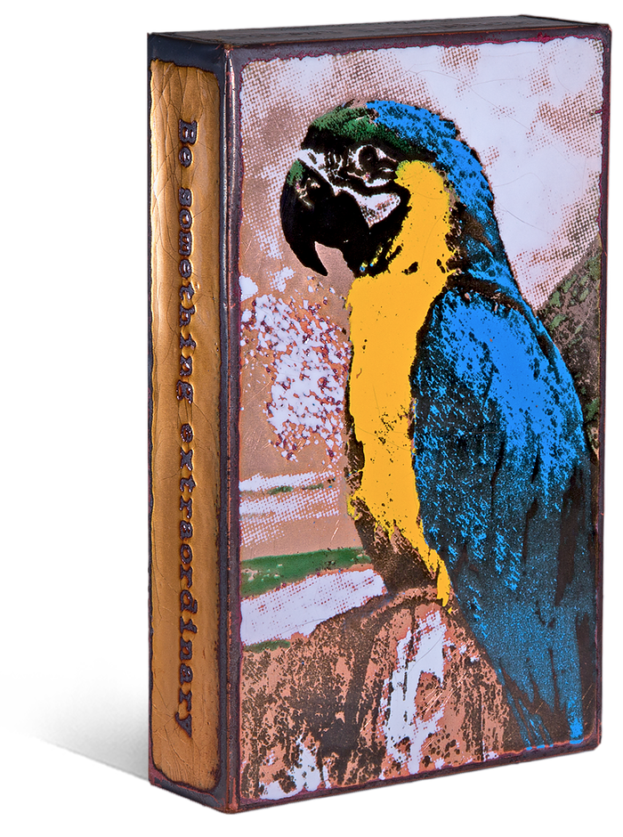 218 'Parrot' 